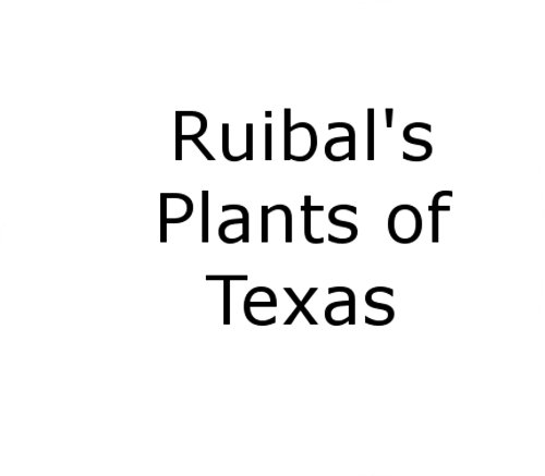 Merchant image - Ruibal's Plants of Texas