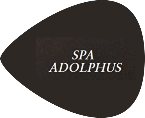 Merchant image - The Adolphus Hotel & Spa